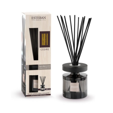 ESTEBAN - Cedro Bouquet profumato Ellipse
