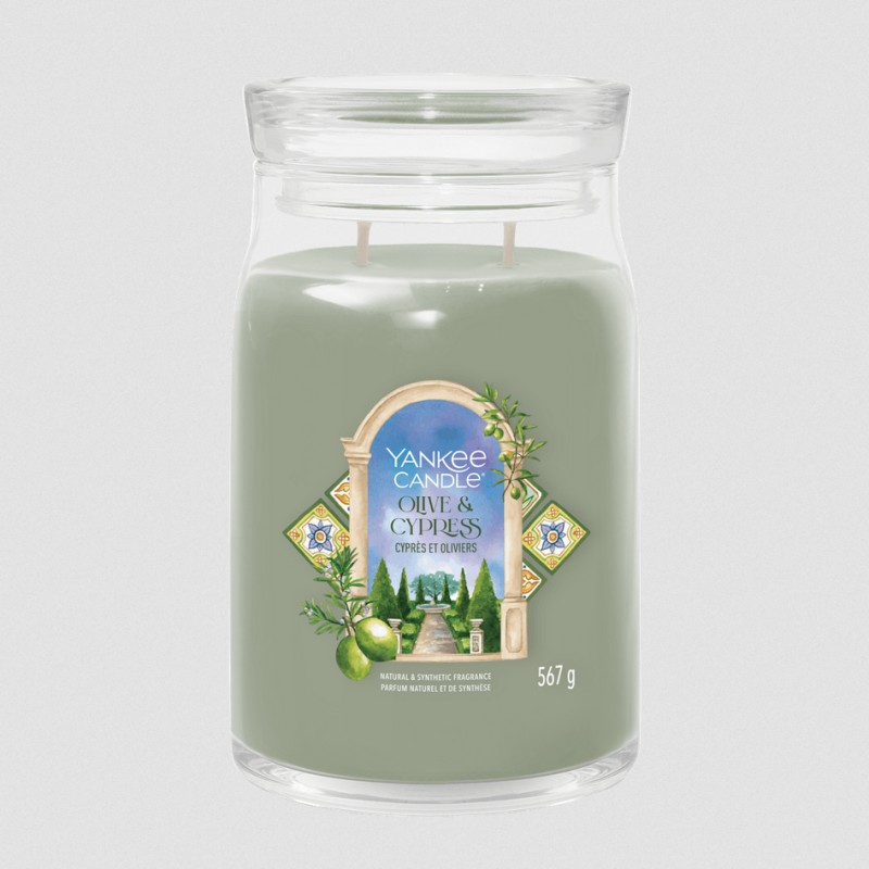 Candela profumata YANKEE CANDLE - Olive & Cypress