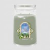 Candela profumata YANKEE CANDLE - Olive & Cypress