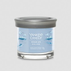 Candela profumata YANKEE CANDLE - Ocean Air