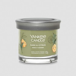 Candela profumata YANKEE CANDLE - Sage & Citrus