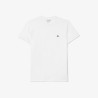 LACOSTE - T-shirt in cotone Pima - UOMO