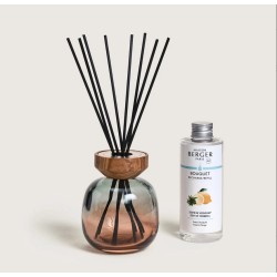 Maison Berger - Bouquet WOOD Vert e Ambre + 180ml Zeste de Verveine