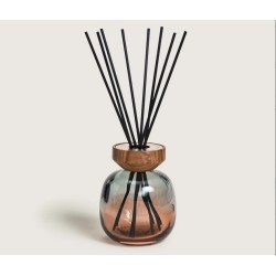 Maison Berger - Bouquet WOOD Vert e Ambre + 180ml Zeste de Verveine