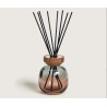 Maison Berger - Bouquet WOOD Vert e Ambre + 180ml Zeste de Verveine