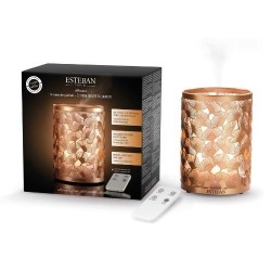 ESTEBAN PARIS - DIFFUSORE EDIZIONE RAME & LUCE